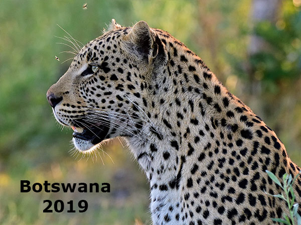 Botswana 2019