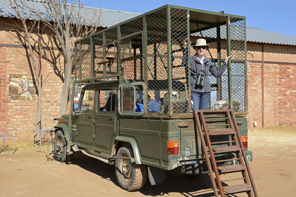 Vehicle used by visitors inside the reserve (rear stairs fold up)