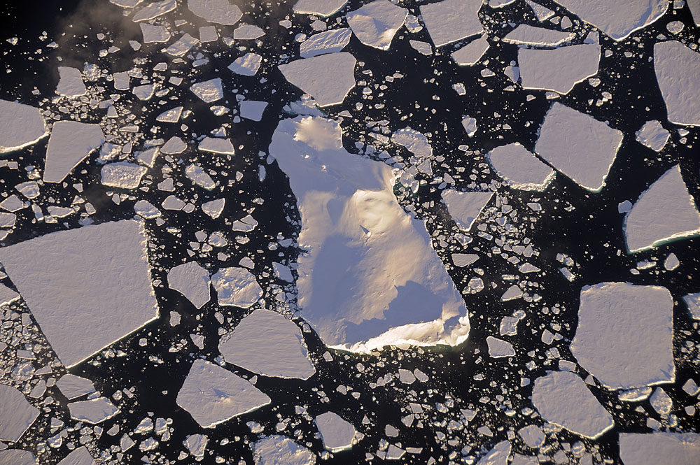 Iceberg floating among sea ice