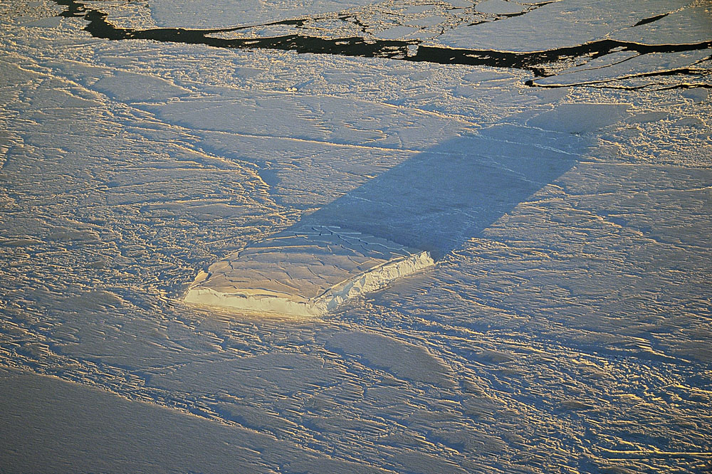 Iceberg frozen into sea ice