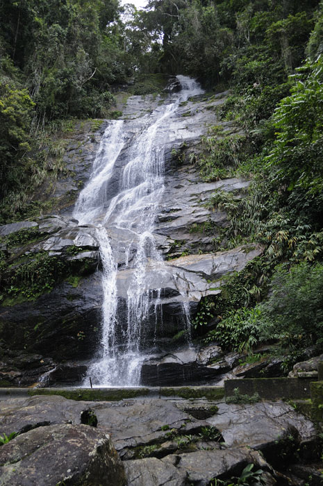 Waterfall in Tijuca Rain Forest