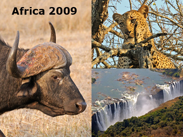 Africa 2009