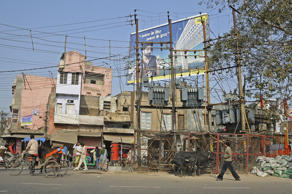 Cows in street, monkeys on building, tangled wires
