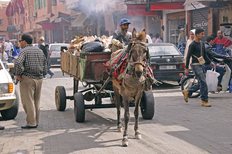 Street scene in Marrakech