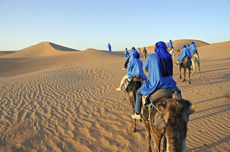 Camel ride in the Sahara Desert