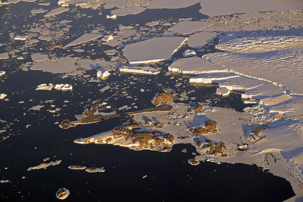 Main area of Dumont d'Urville on rock outcropping