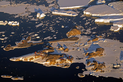 French research station at Dumont d'Urville