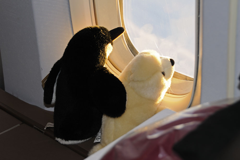 Taking a last look out the window as we return