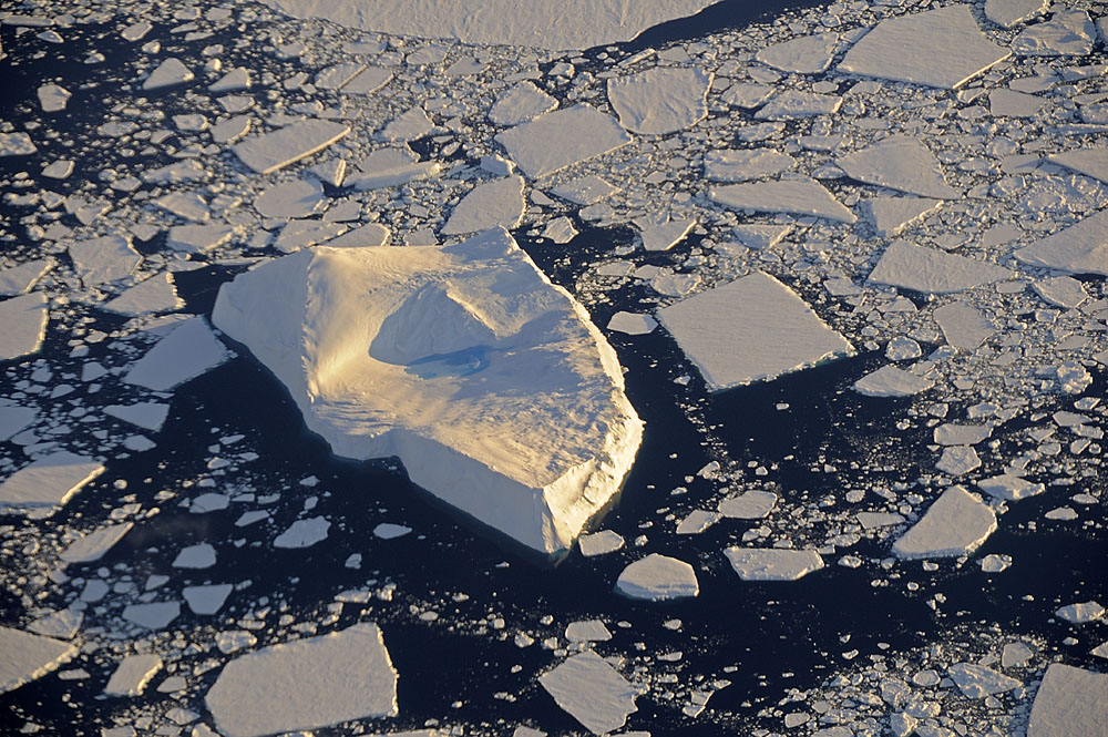 Iceberg floating among sea ice