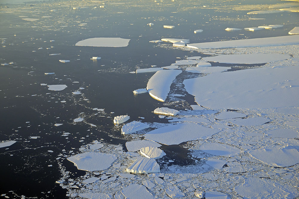 Larger pieces of sea ice with a few icebergs