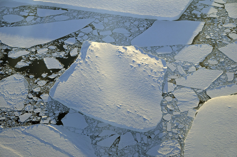 Icebergs and sea ice