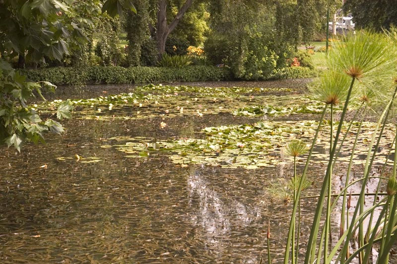 Royal Botanic Gardens, Melbourne