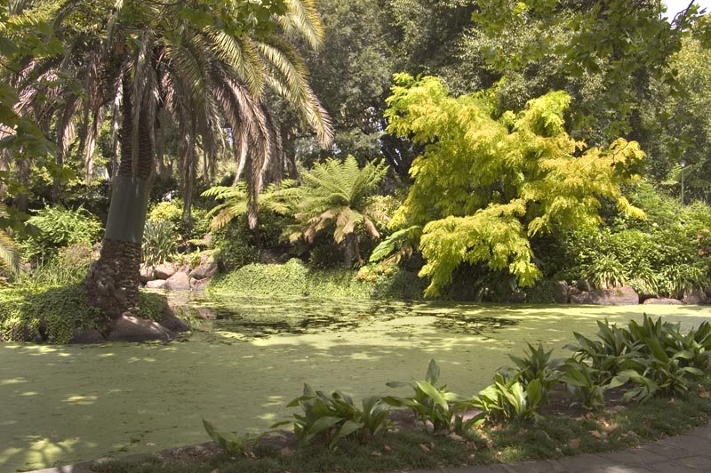 Royal Botanic Gardens, Melbourne