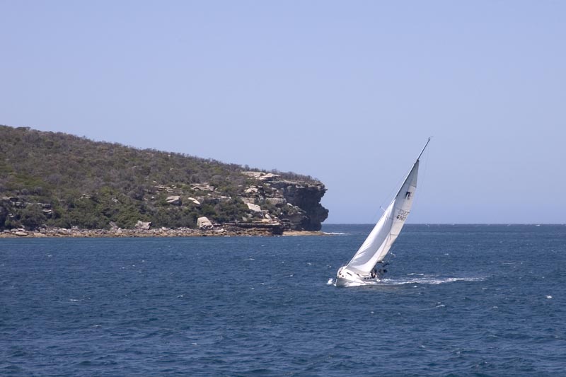 Port Jackson opens to Pacific Ocean