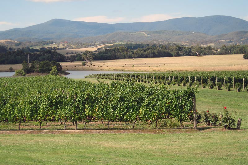 Yarra Valley, near Melbourne
