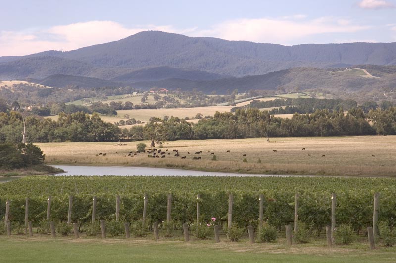 Yarra Valley, near Melbourne