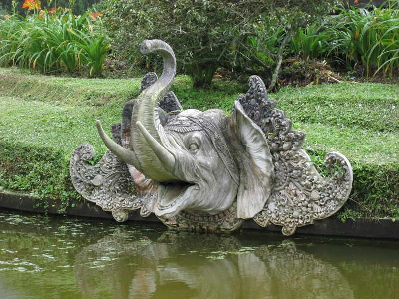 At Bedugul Botanical Gardens
