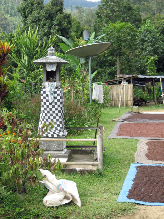 Offering monument and drying cloves and cocoa beans