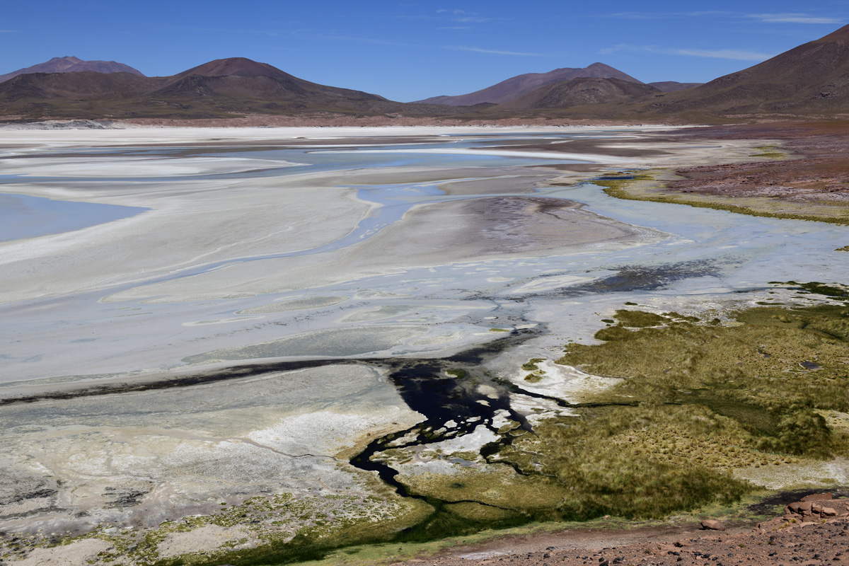 Red Rock Basin, salt flats (elevation 12,467 ft)