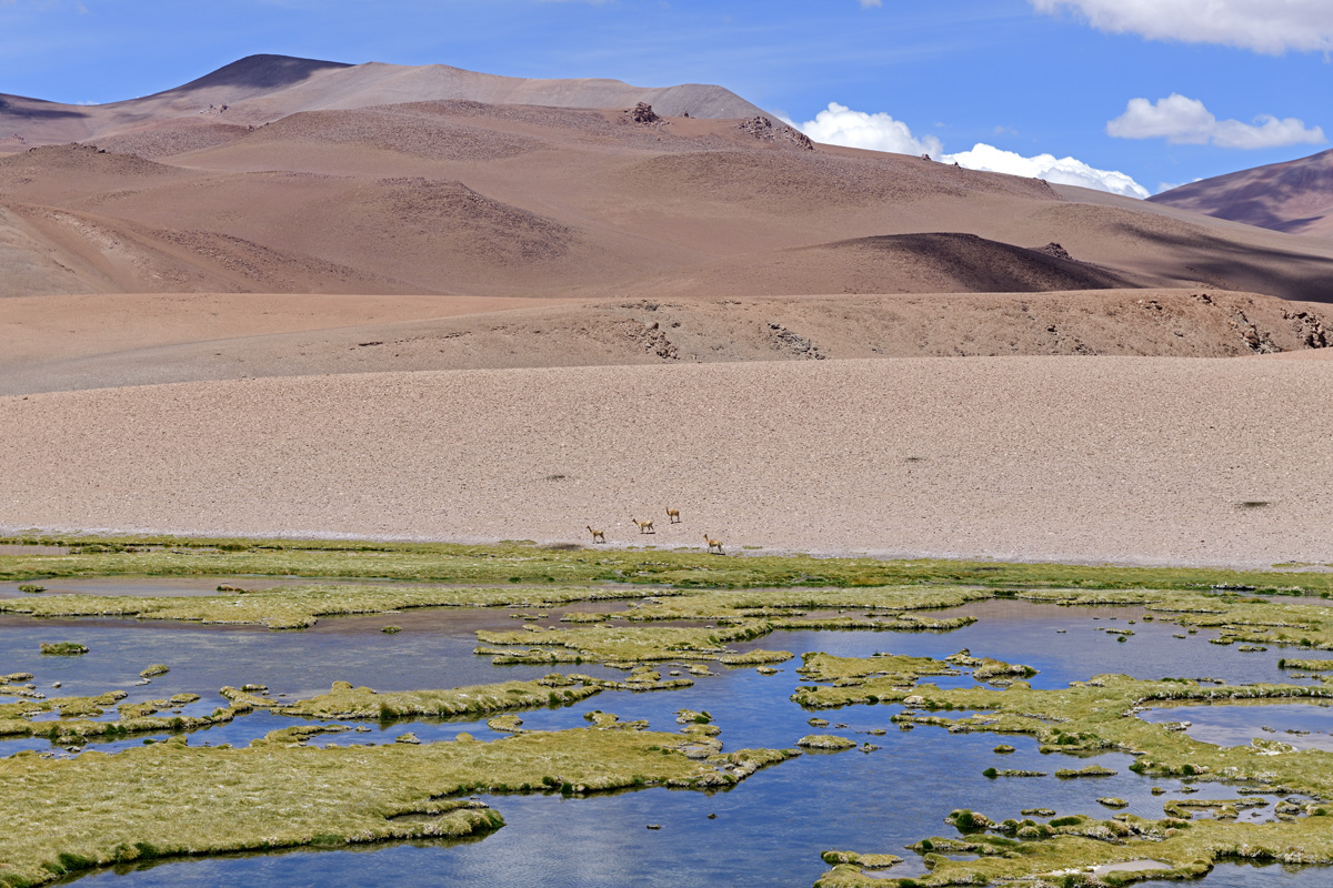 View off Chile Route 27 (max road elevation 15,850 ft)