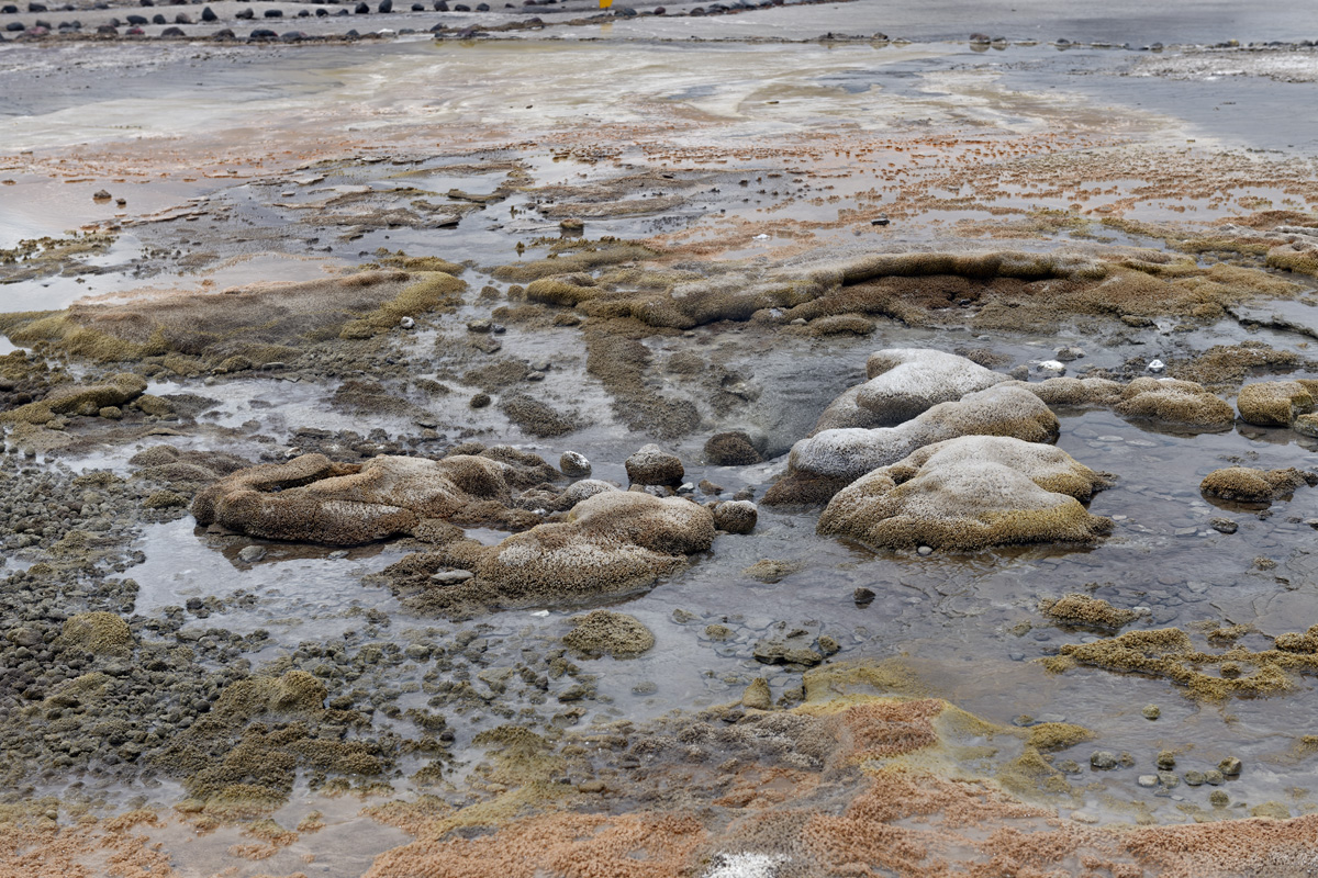 El Tatio Geyser Basin