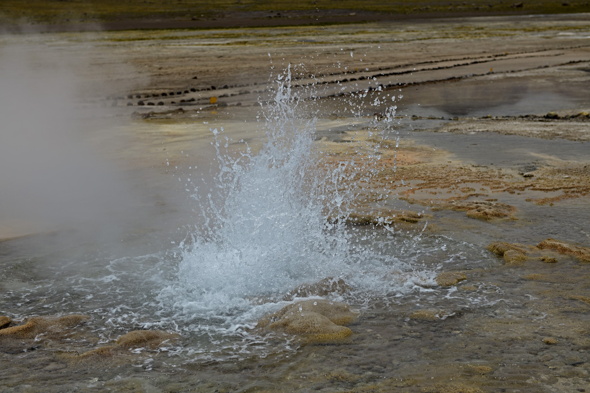 El Tatio Geyser Basin
