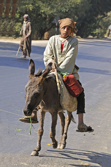 Passersby out in the countryside