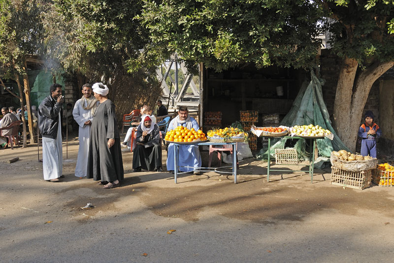 On the road from Abydos to Dendara