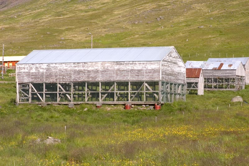 Shack for drying cod fish