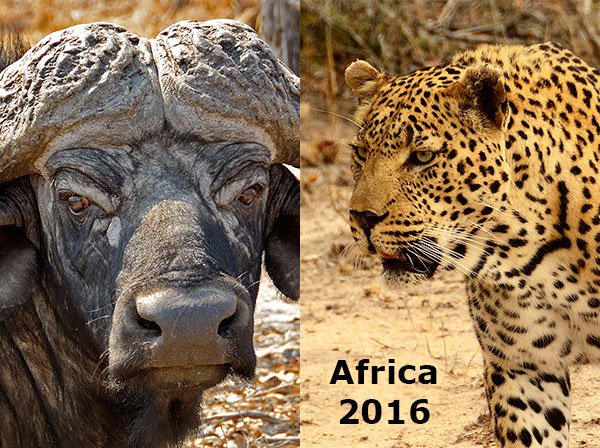 Africa 2016