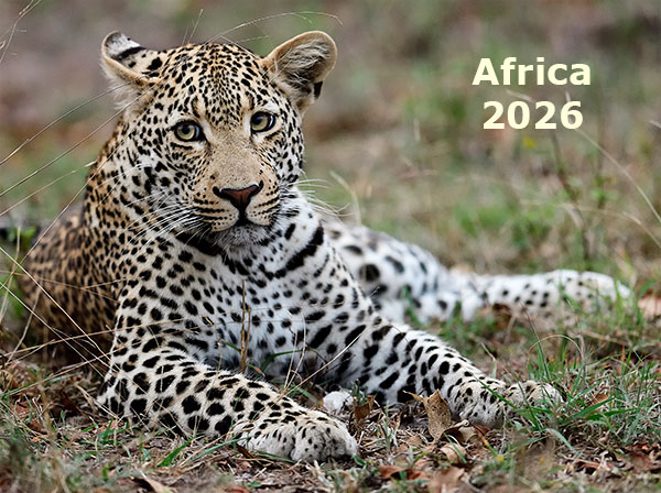 Africa 2026