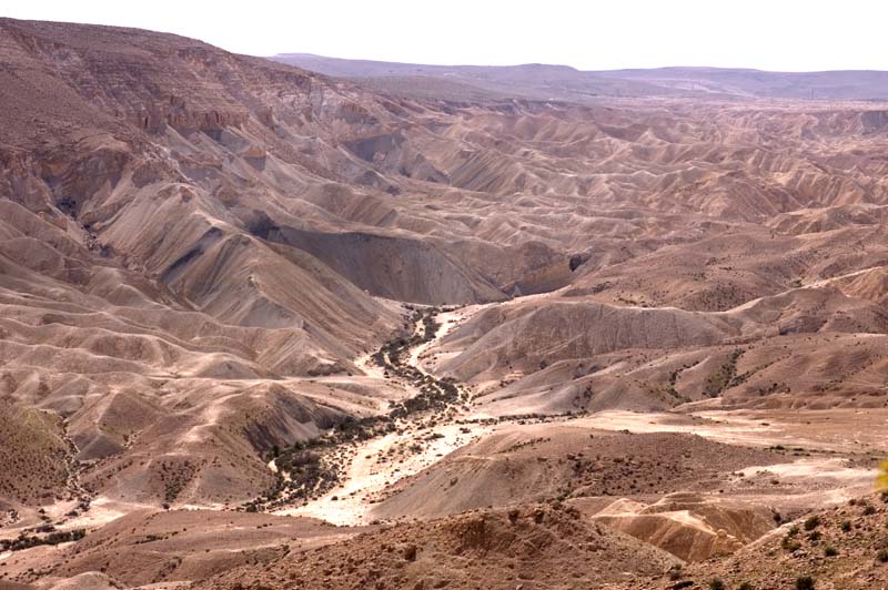 Negev Desert
