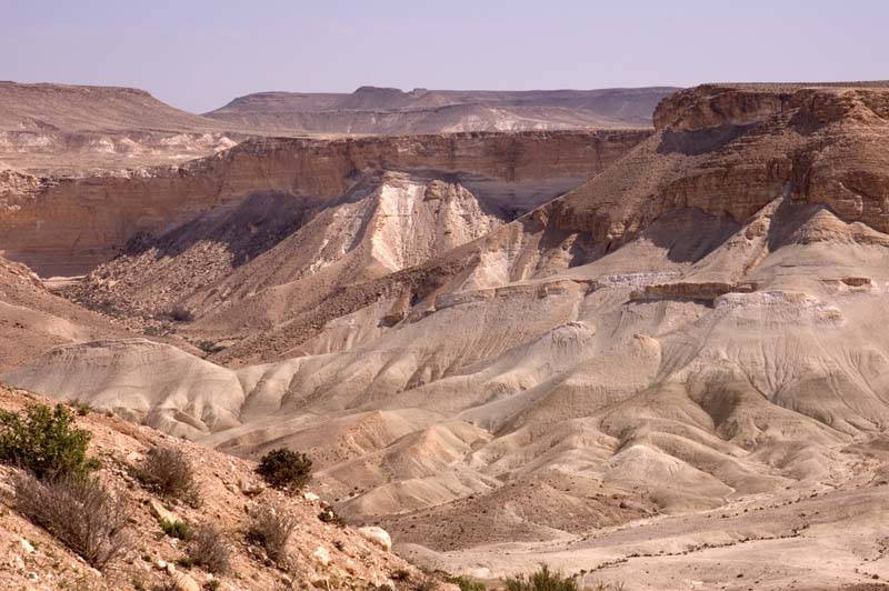 Negev Desert