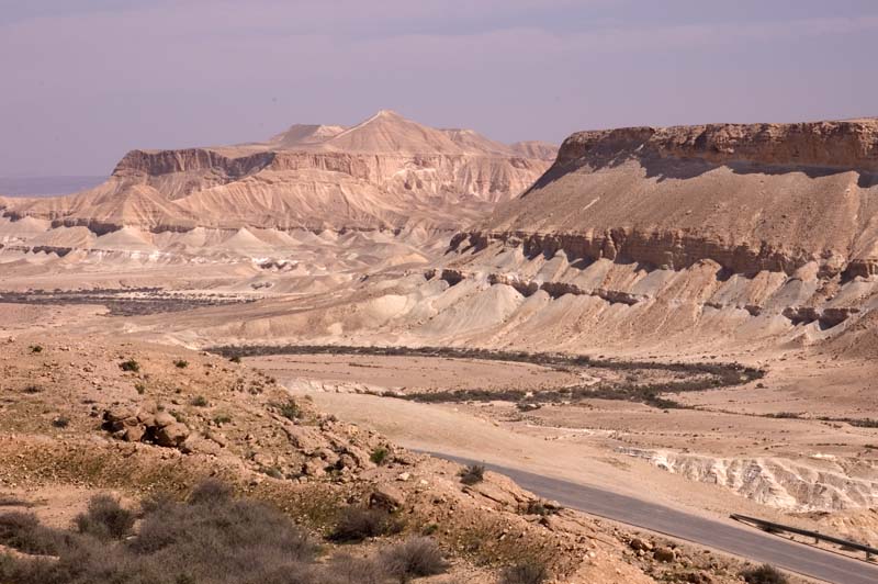 Negev Desert