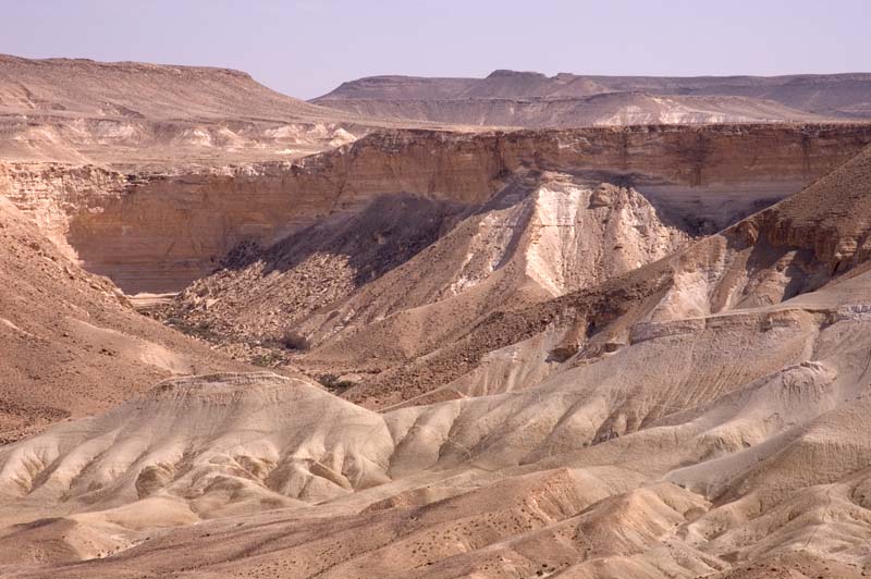 Negev Desert