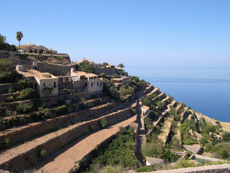 Mallorca 2004 / Terraces