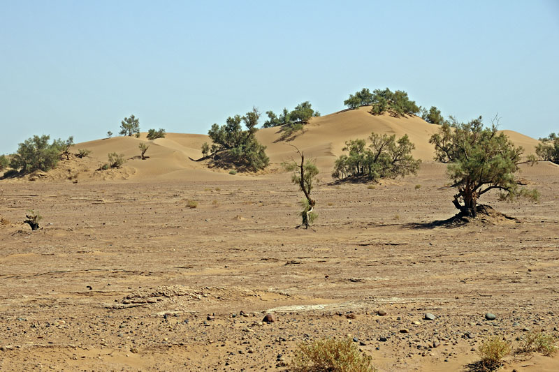Rocky desert transitions to dunes of the Sahara