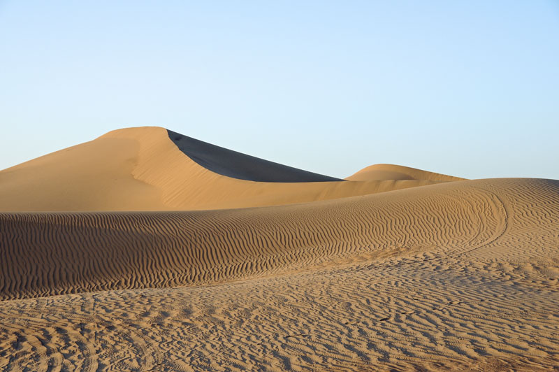 Dunes in the Sahara Desert