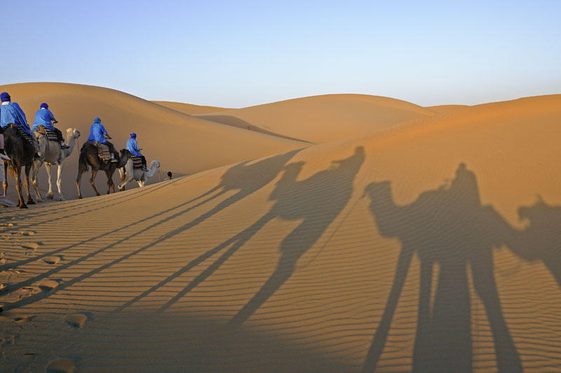 Camel ride in the Sahara Desert