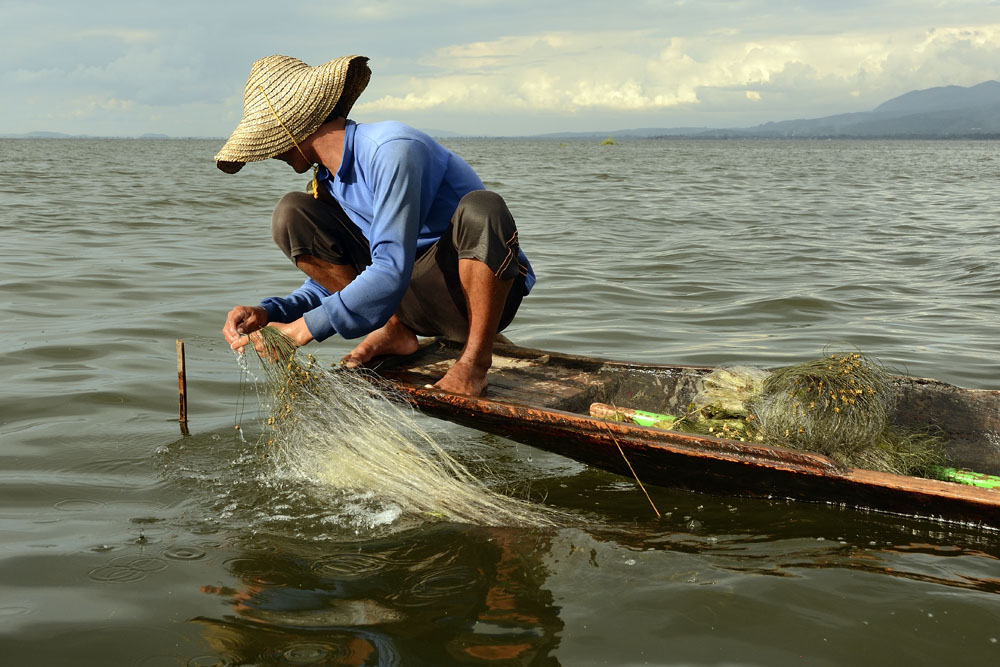 Fisherman at work