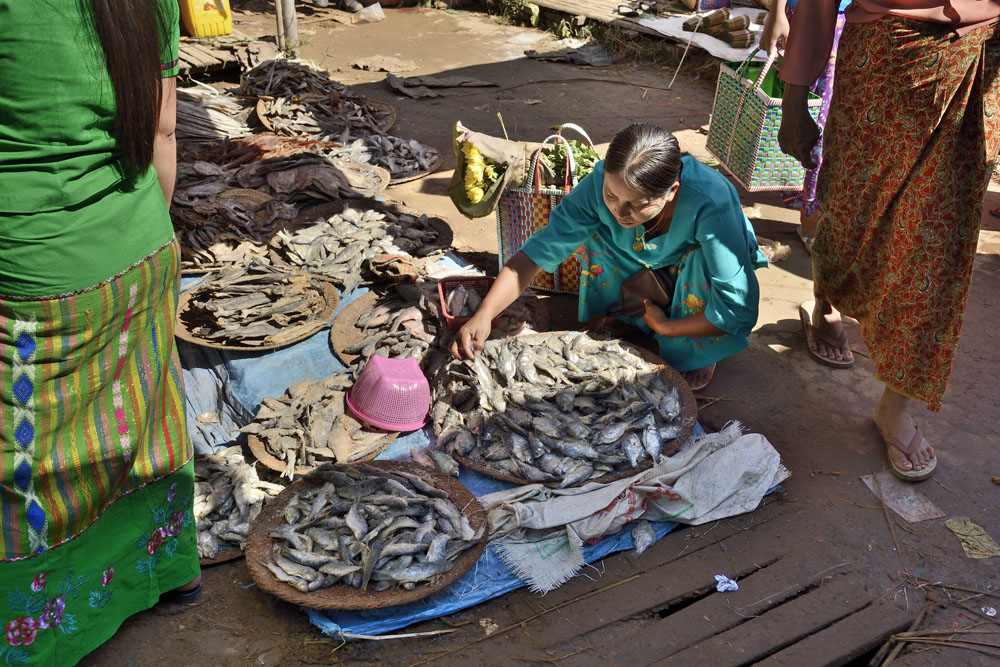 Fish vendor