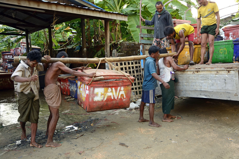 Loading heavy box of fish onto truck (1 of 3)