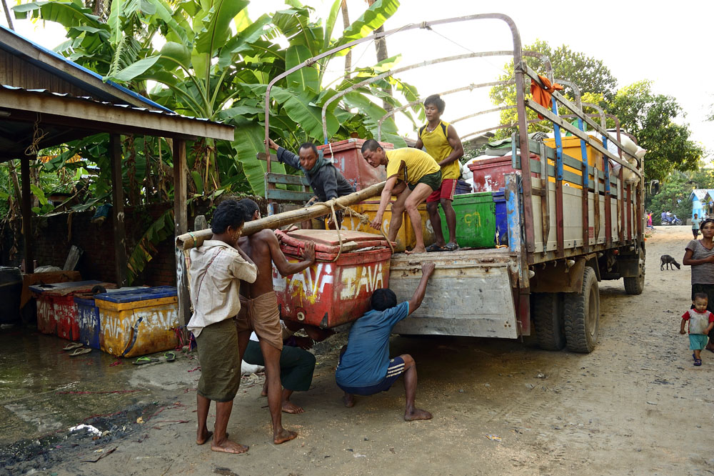Loading heavy box of fish onto truck (2 of 3)