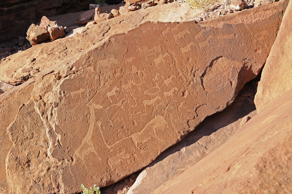 Ancient bushman rock engravings at Twyfelfontein