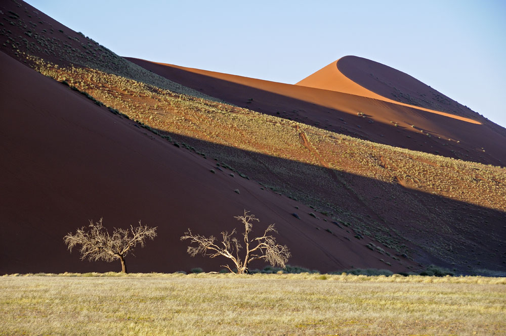 Landscape and dunes in early morning sunshine