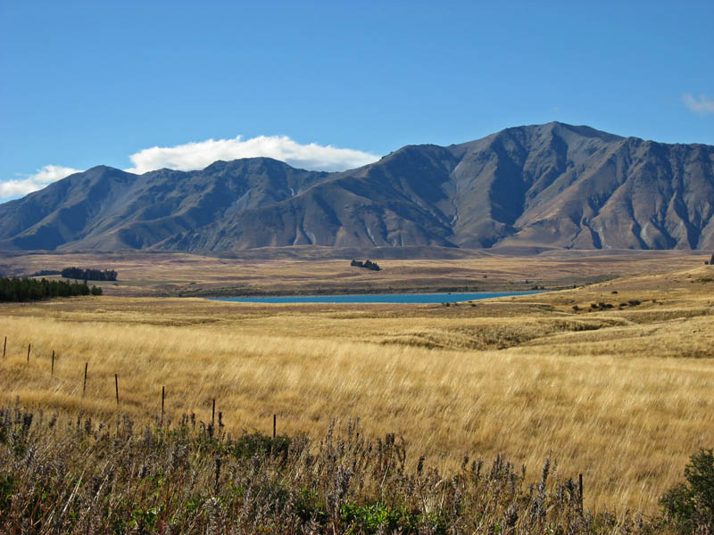 Landscape near Mt. John