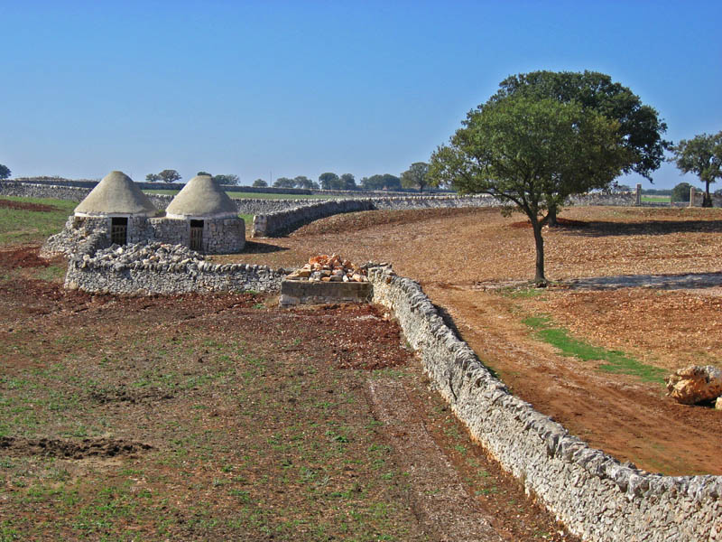 Fields near Alberobello