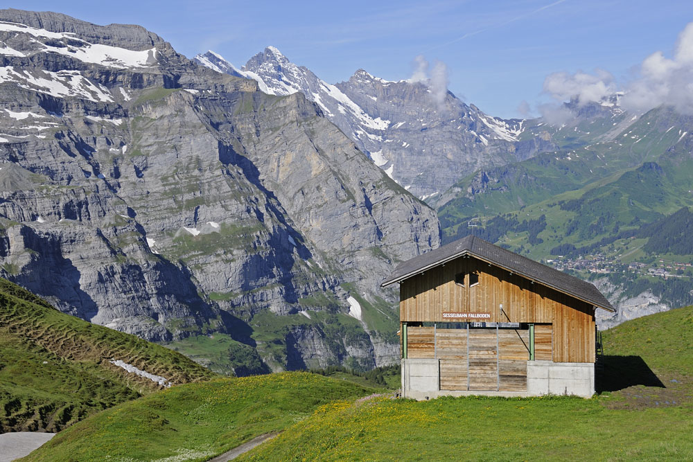 From the train climbing Jungfrau