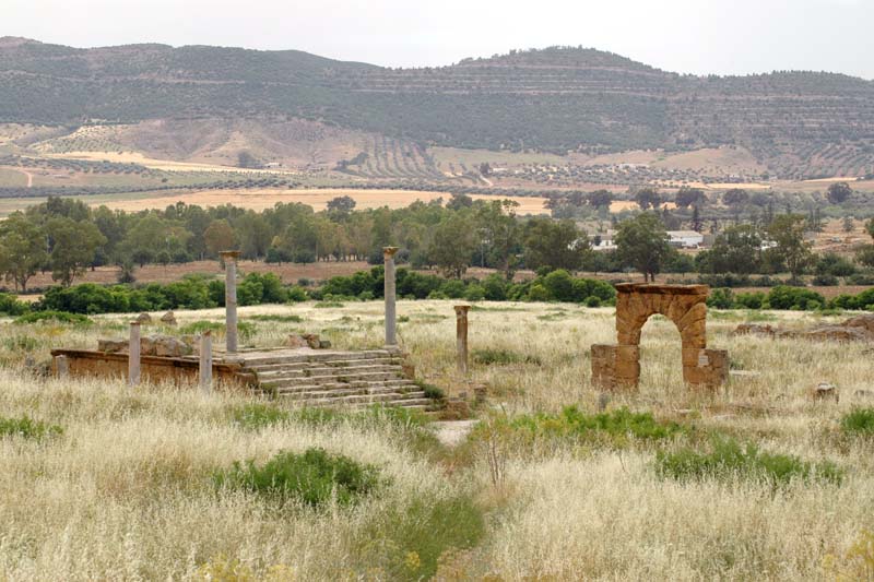 Tunisia 2005 - Thuburbo Majus, Roman Ruins
