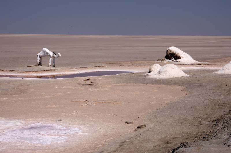 Tunisia 2005 - Chott El Jerid salt lake